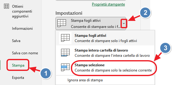 stampa selezione