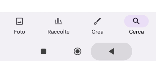Cerca Google Foto