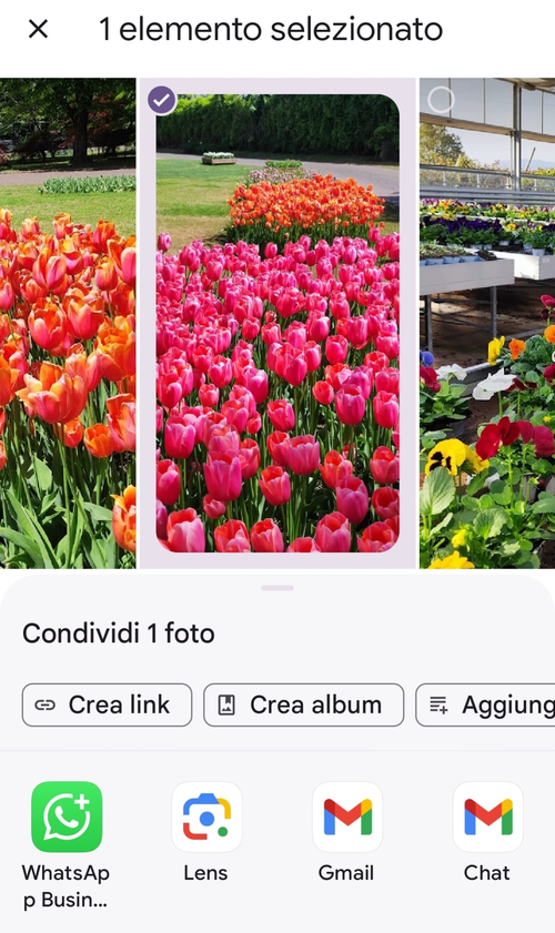 Condividi Google Foto