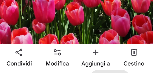 Modifica Google Foto