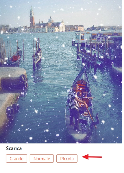 anteprima foto con neve e pulsanti download