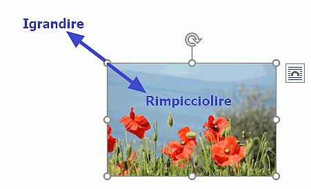 ingrandire e rimpicciolire immagini