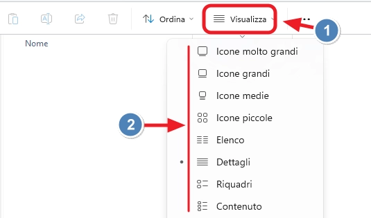 Tipi di visualizzazione